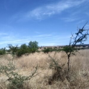 Rento terreno Juventino Rosas 500 hectareas