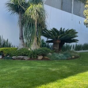 Casa en venta colonia Moderna