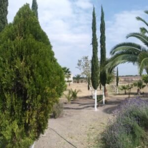 Venta de rancho en la en la presa del conejo