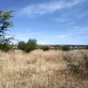 Terreno en venta Juventino rosas 500 hectáreas