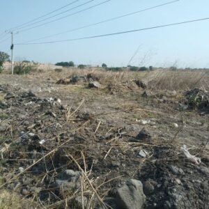 Terreno de 1520 metros con frente a carretera Irapuato-Romita