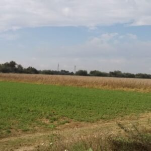 Rancho en Venta en Silao