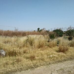 Terreno en Venta Carretera Irapuato, Romita