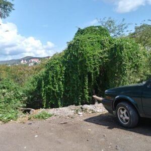 Terreno en venta en Guanajuato