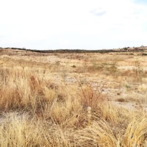 Terreno venta 1000 metros Lomas del Márquez.