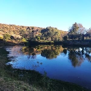 Venta terreno Diada (comunidad campestre de lujo)