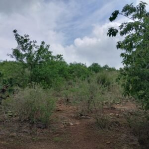 terreno campestre en venta en munguia