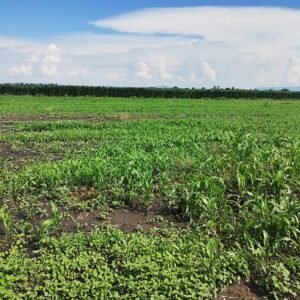 Vendo terreno de 8,900m en San Cristobal
