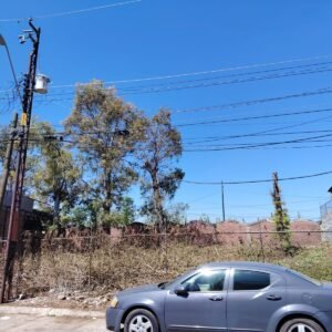 TERRENO EN RENTA UBICADO EN FRACCIONAMIENTO FLORESTA